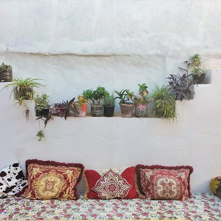 Hostel Zicatela Taghazout Luaran gambar
